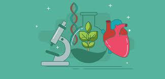 Subject Choice - Life Sciences