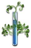 Agricultural Sciences, Agricultural Management Practice,  Agricultural Technology